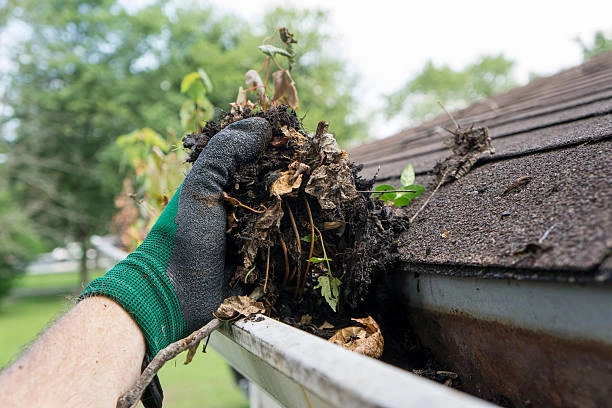 Gutter Cleaning Service