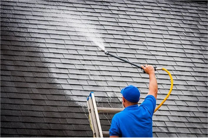 Roof Cleaning
