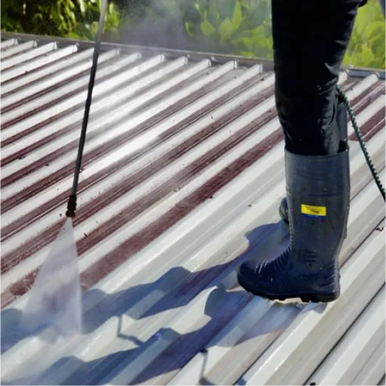 Roof Cleaning Service